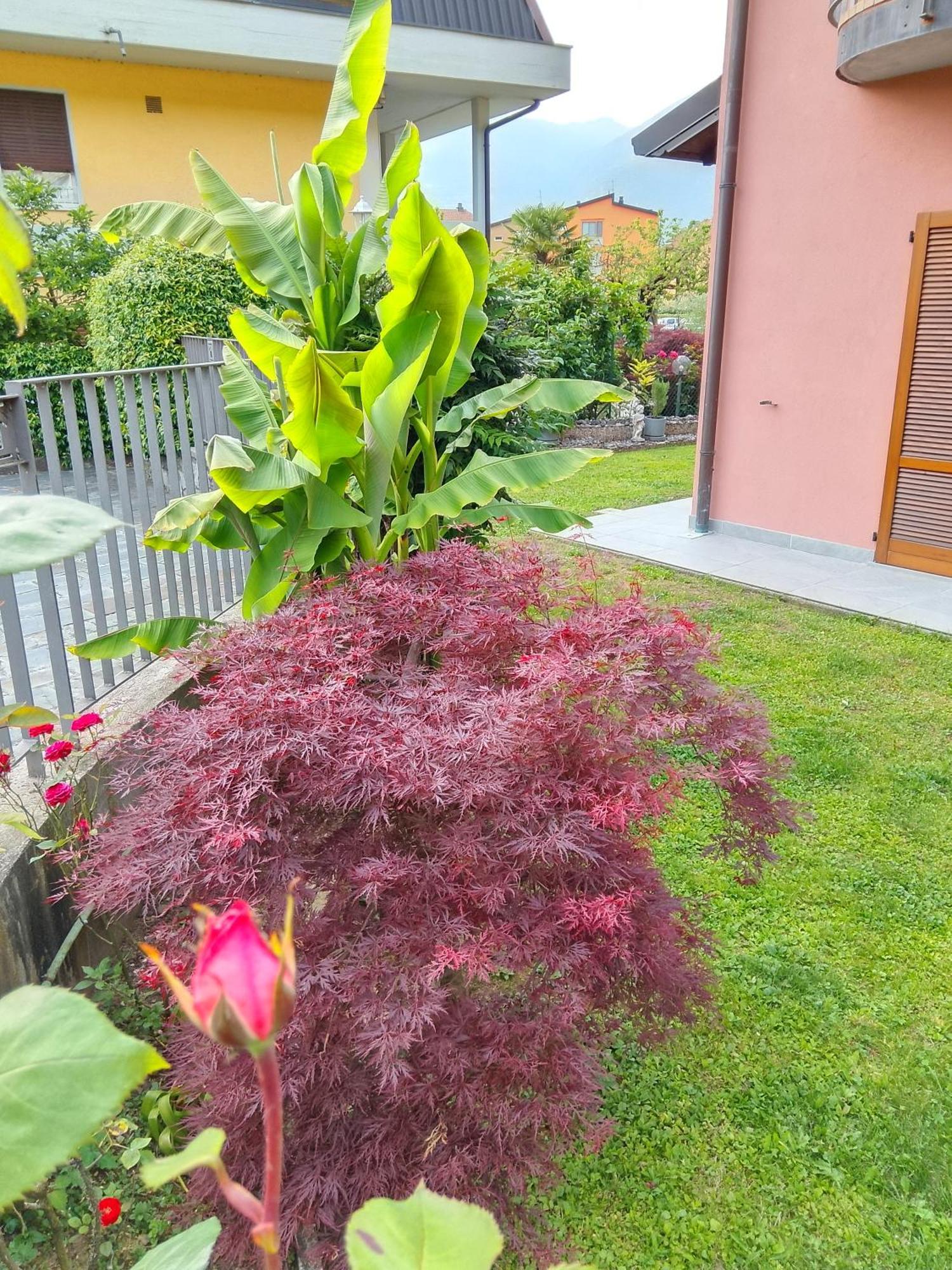 Doris' Home Pisogne Exterior photo